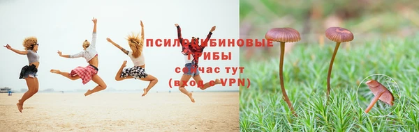 дурь Горнозаводск