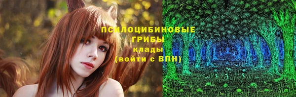 дурь Горнозаводск