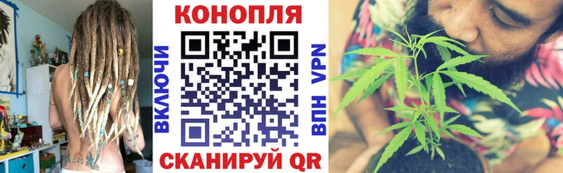 Конопля MAZAR  Купить где  Алупка 